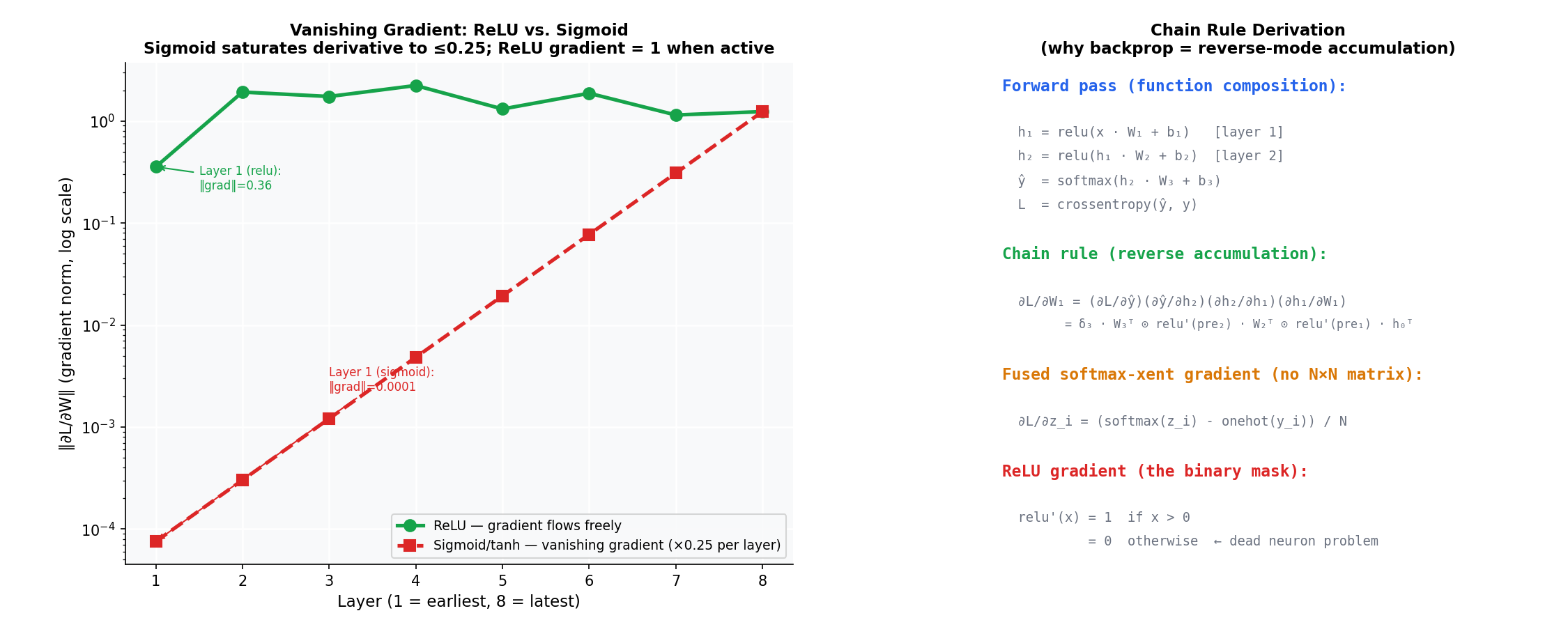 Left: log-scale plot of gradient norm versus layer index 1 to 8 for a simulated ReLU MLP gradient flow (green circles, flat near 1.0) and a simulated saturated-sigmoid curve (red squares) decaying by 4× per layer. Right: text panel with the chain-rule derivation, fused softmax-cross-entropy gradient, and ReLU mask formula.
